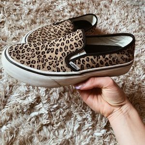 Cheetah vans